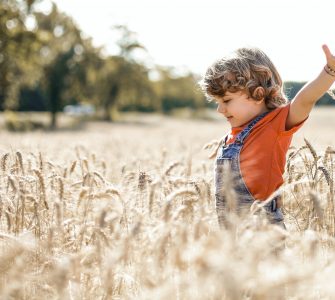 La bellezza rende l'esperienza estetica anche emozionale