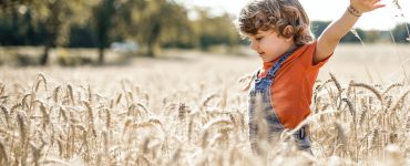 La bellezza rende l'esperienza estetica anche emozionale