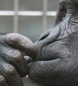 Perché abbiamo bisogno di insegnanti scettici