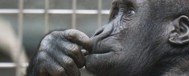Perché abbiamo bisogno di insegnanti scettici