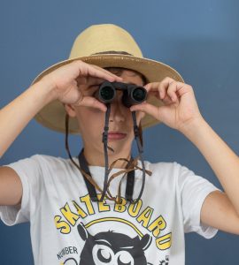 Stra Curiosità. 5 suggerimenti